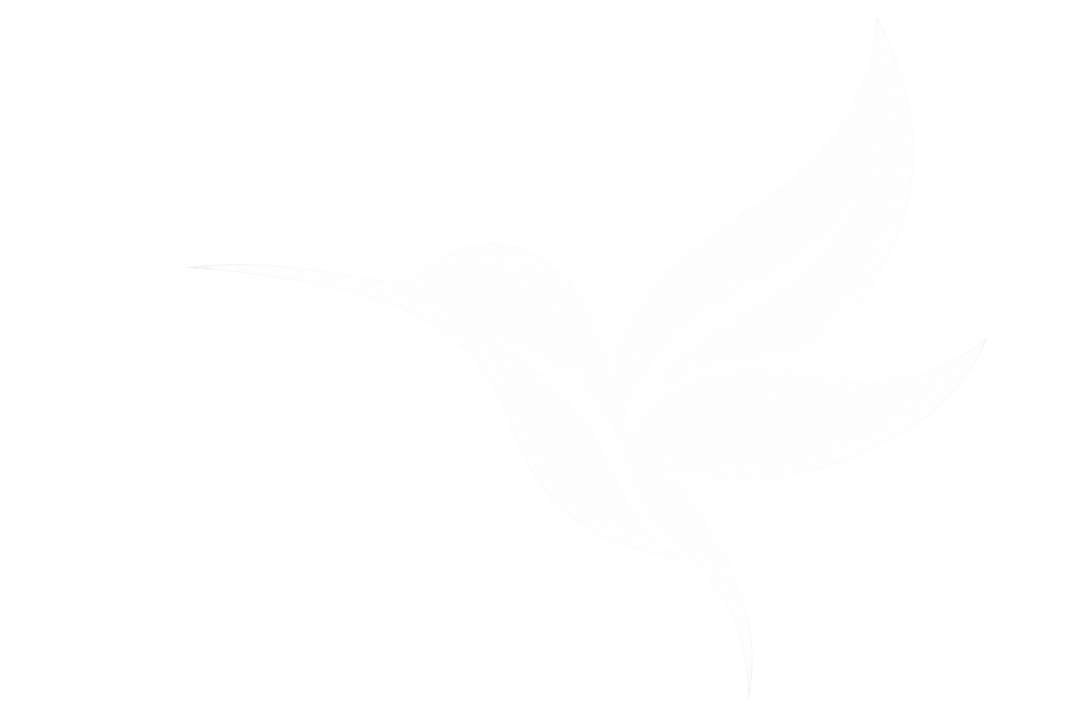 Colibri bird mark